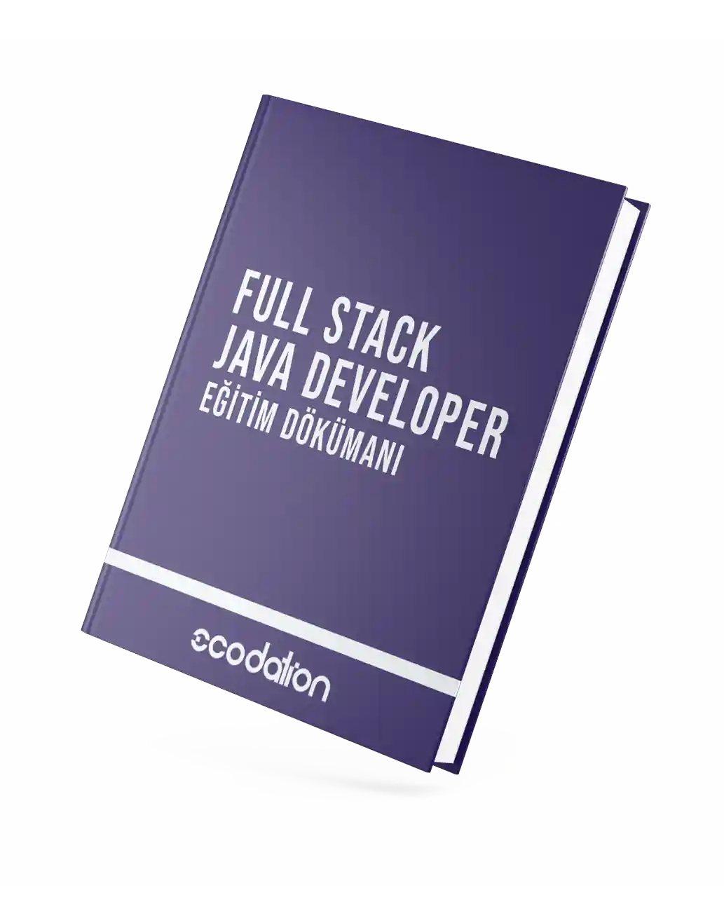 Full Stack Java Developer Eğitim Dökümanını İndir