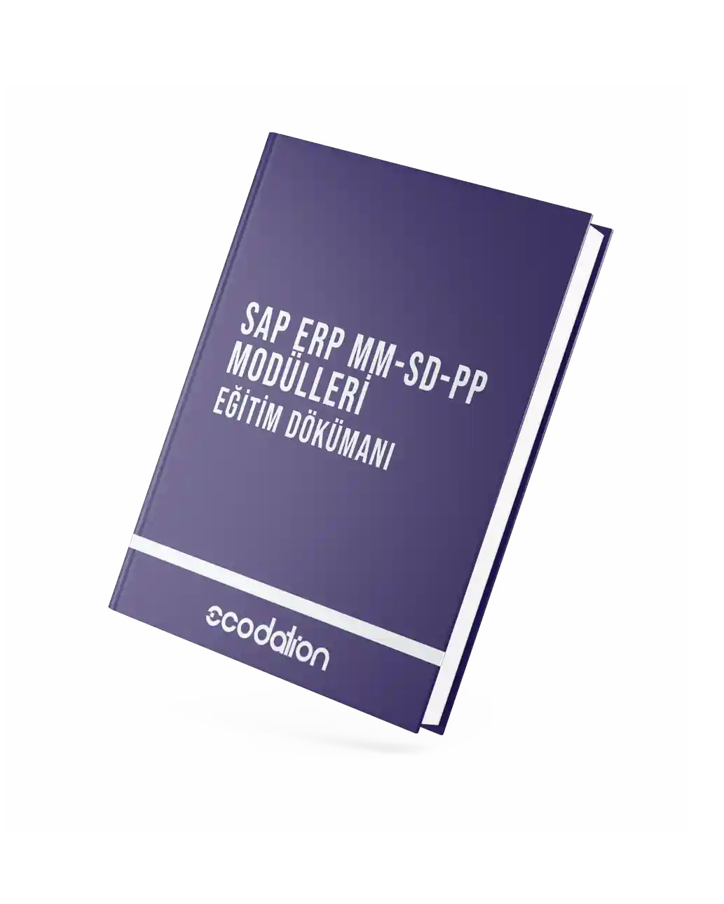 SAP ERP MM-SD-PP Modülleri Eğitim Dökümanını İndir