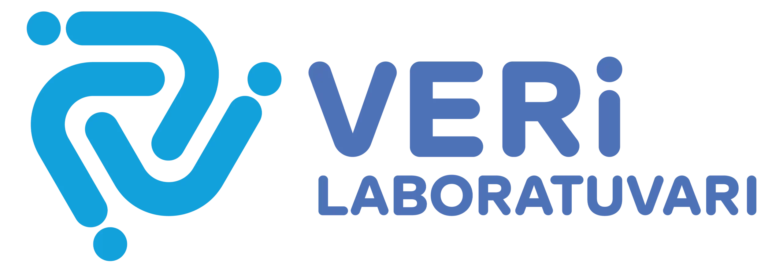 veri lab logo scaled